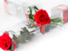gepackte-rosen