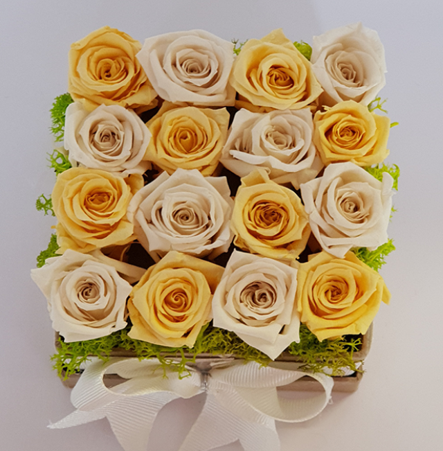rosenbox quadrat-1