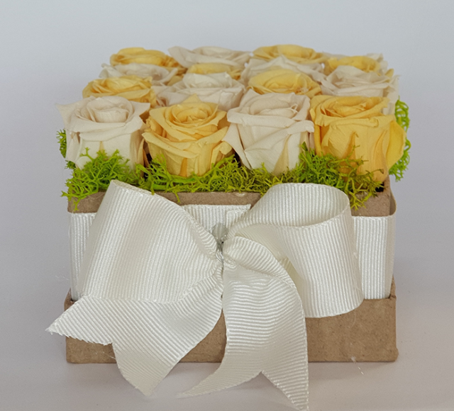 rosenbox quadrat-2
