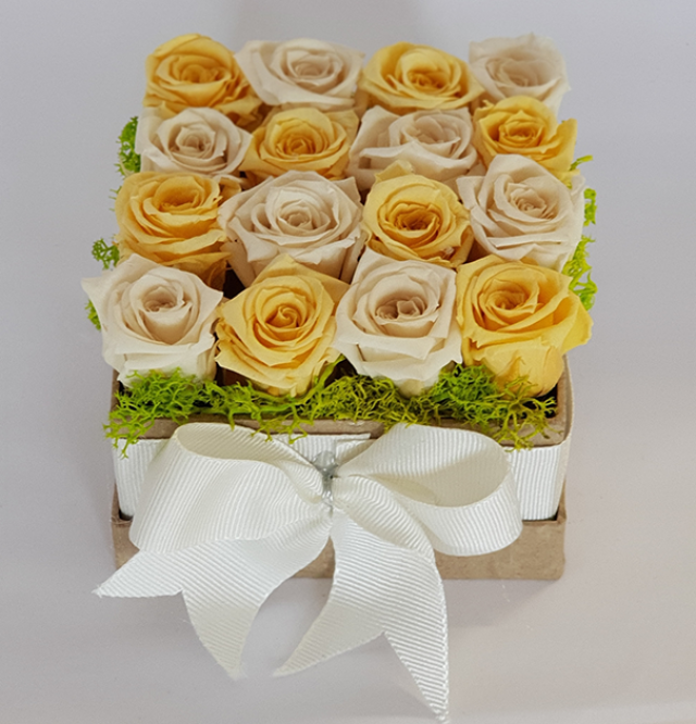 Rosenbox Quadrat