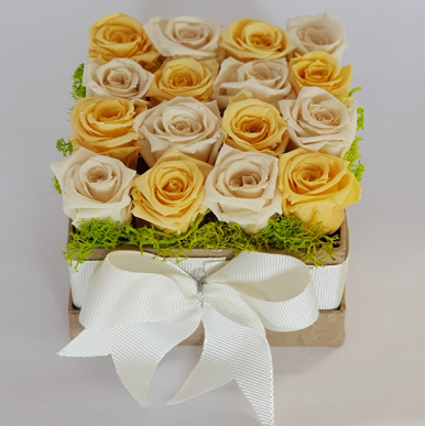Rosenbox Quadrat